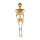Skelett mit H&auml;nger, beweglich, aus Kunststoff, Gr&ouml;&szlig;e: 95cm Farbe: gold