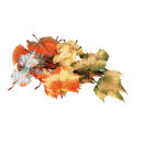 Autumn leaves for scattering 72pcs./bag - Material:...