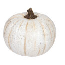 Pumpkin out of polyresin - Material:  - Color: white -...