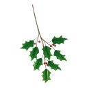 Holly twig,  with berries, Size:; Color:green/red