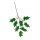 Holly twig  - Material: with berries - Color: green/red - Size:  X 140cm