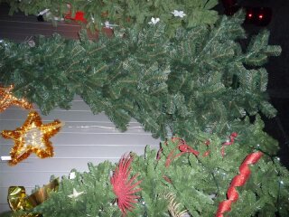 Weihnachtsbaum, Choinka / Jasmina tree,  240 cm, grün matt - Sonderabverkauf leicht beschädigt